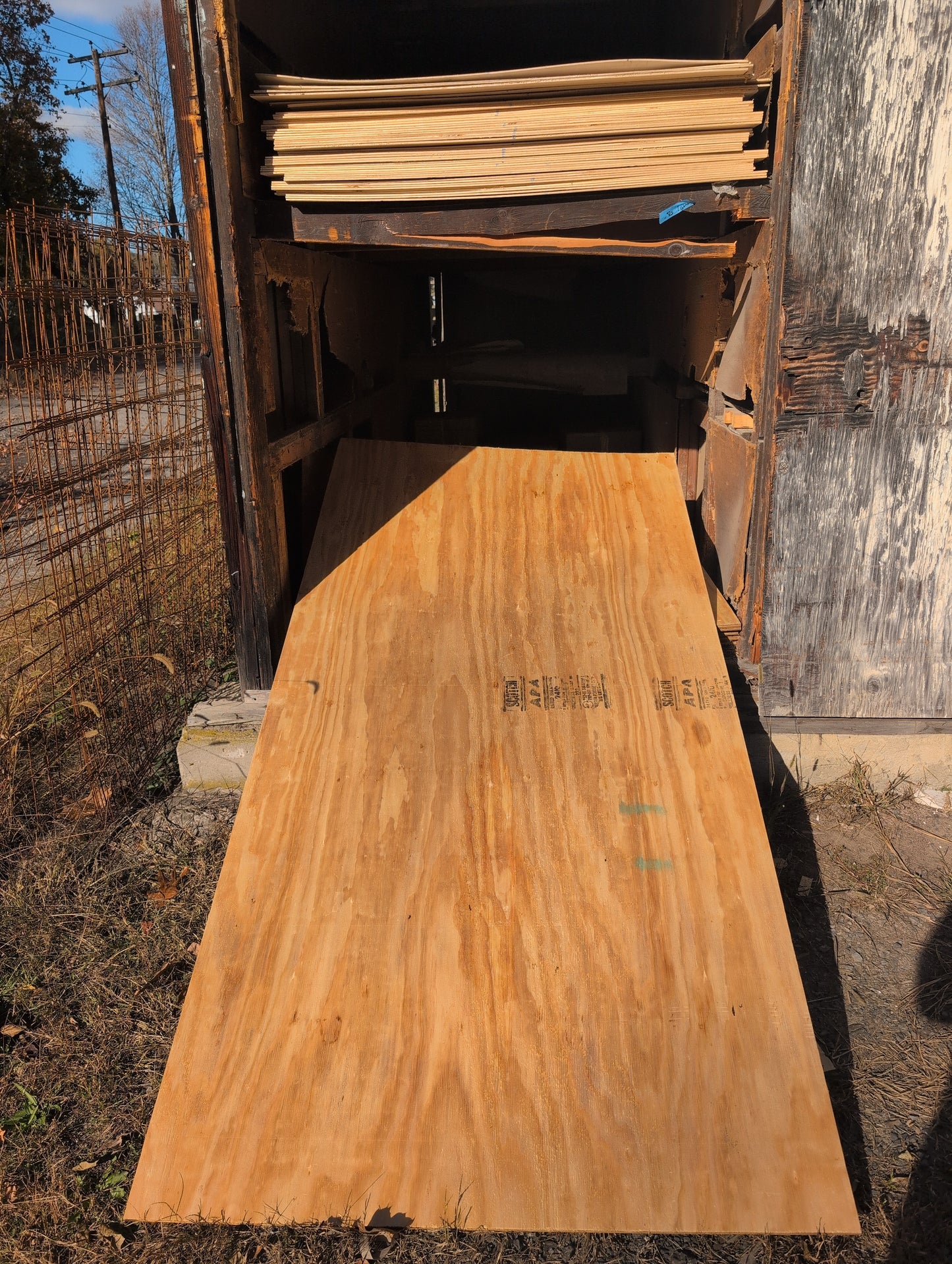 4X8-11/32" CDX PLYWOOD (3/8 Sheathing)