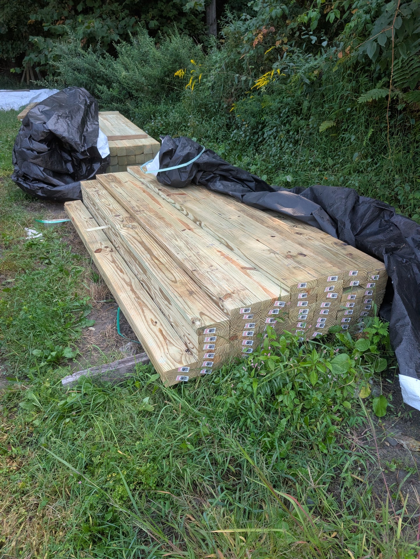 2X6X8 PT